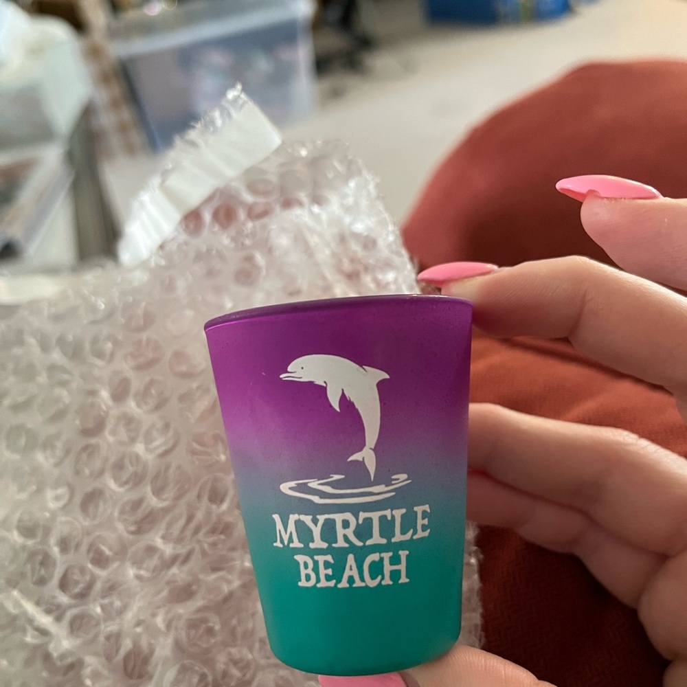 Myrtle Beach Dolphin Shot Glass